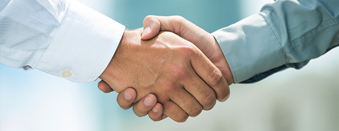 握手をする手元の写真